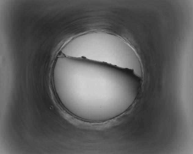 X0000083020001200703022014