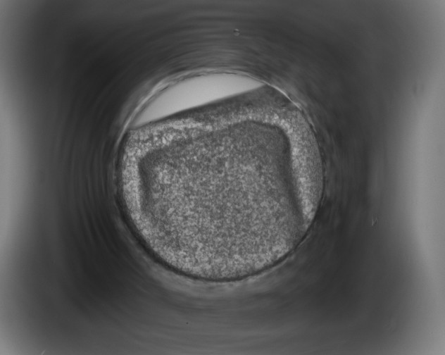 X0000083020002200703022014