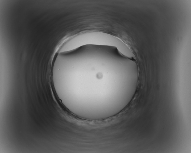 X0000083020003200703022014