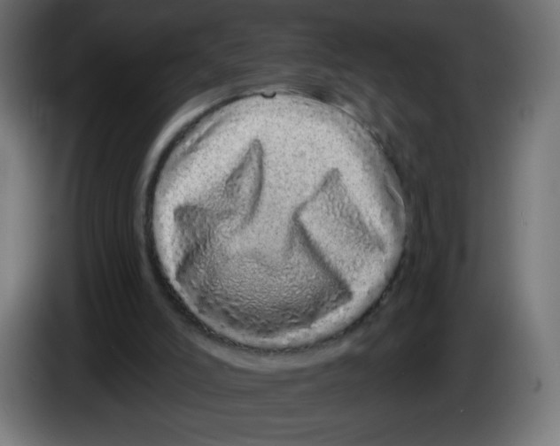 X0000083020006200703022014