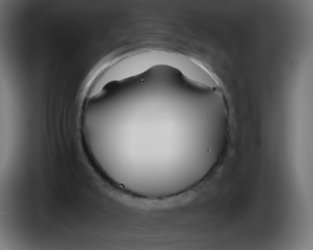 X0000083020007200703022014