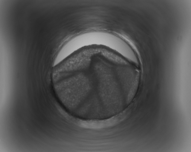 X0000083020009200703022014