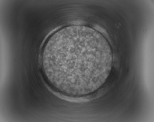 X0000083020012200703022014