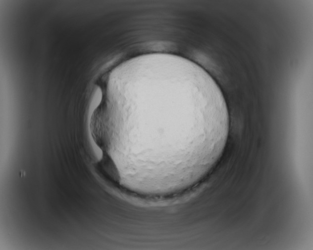 X0000083020014200703022014