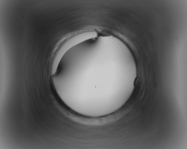 X0000083020015200703022014