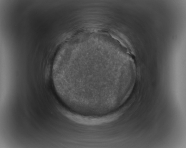 X0000083020018200703022014