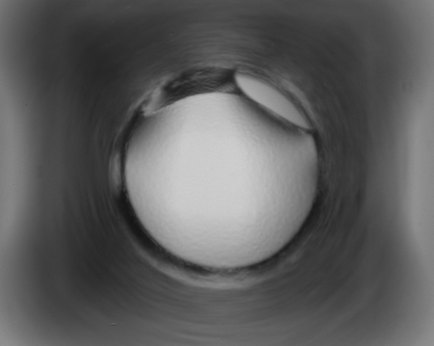 X0000083020020200703022014