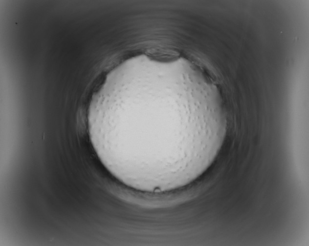 X0000083020022200703022014