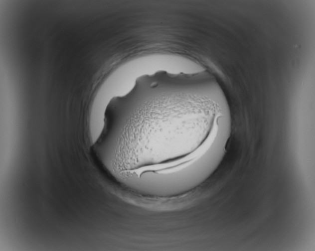 X0000083020023200703022014