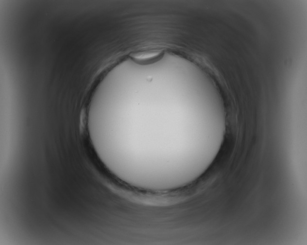 X0000083020024200703022014