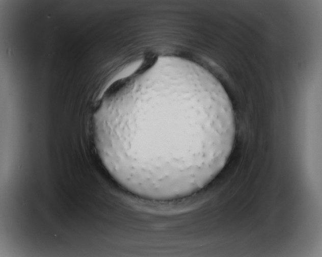 X0000083020026200703022014