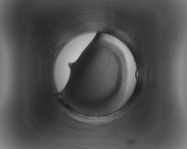 X0000083020027200703022014