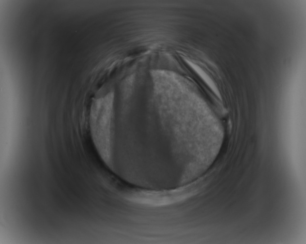 X0000083020029200703022014