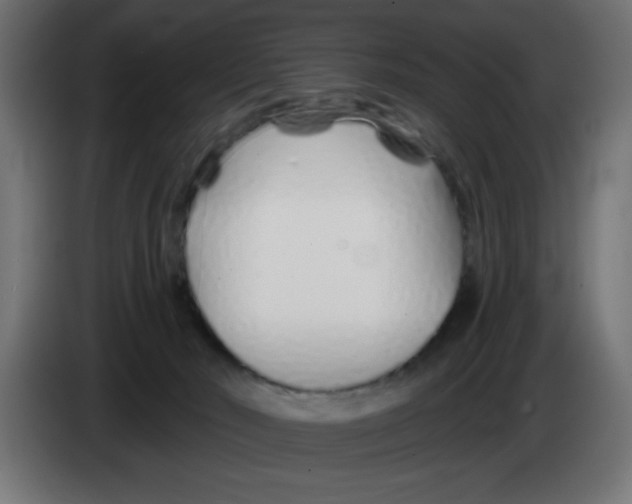 X0000083020030200703022014