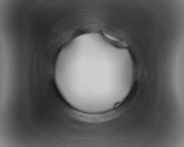 X0000083020034200703022014