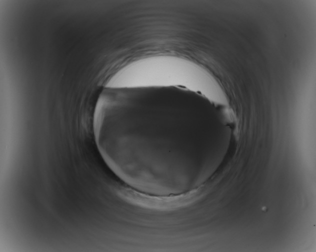 X0000083020035200703022014