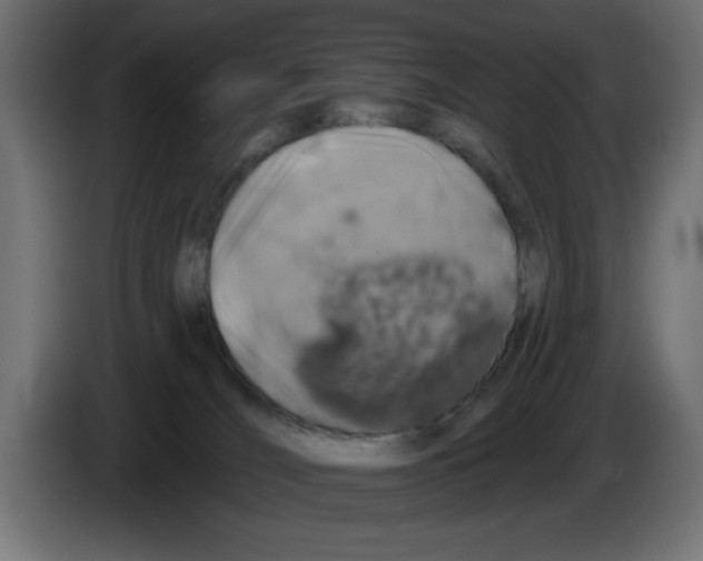 X0000083020036200703022014