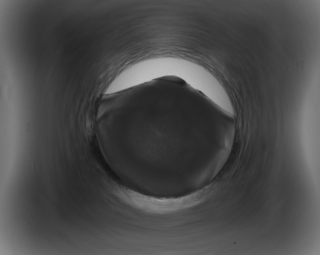 X0000083020039200703022014