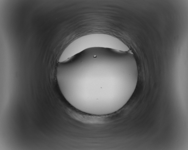 X0000083020044200703022013