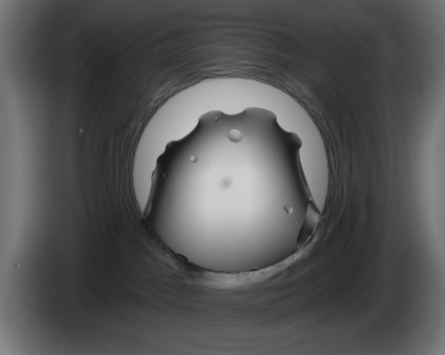 X0000083020045200703022013