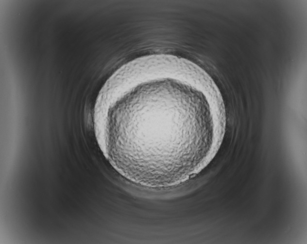 X0000083020046200703022013