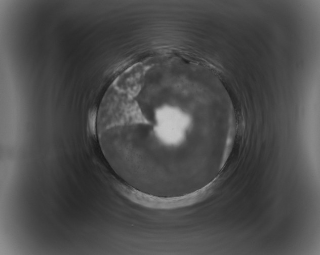 X0000083020047200703022013