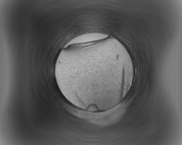 X0000083020048200703022013