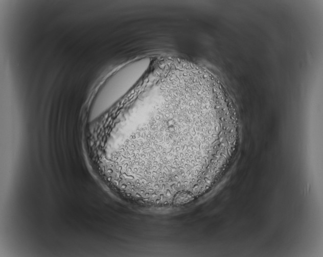 X0000083020049200703022013