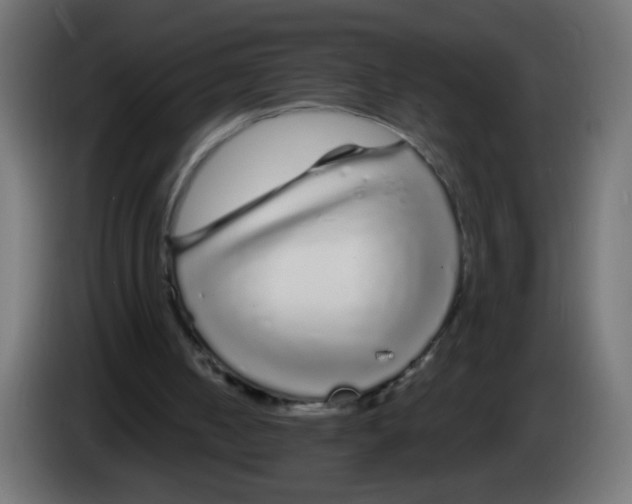 X0000083020050200703022013