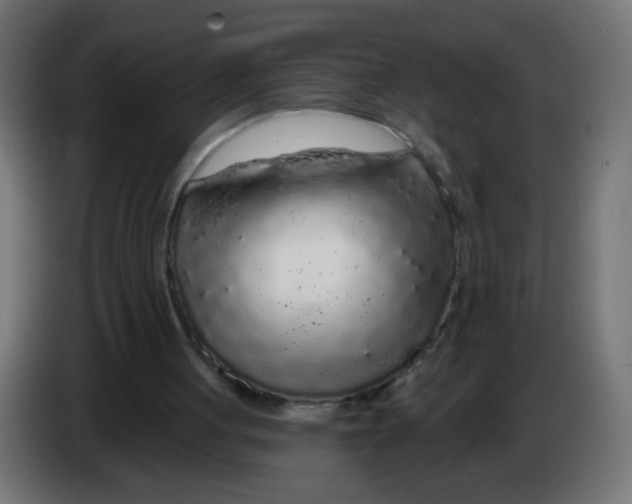 X0000083020051200703022013