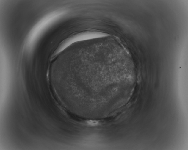 X0000083020052200703022013