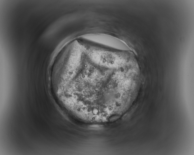 X0000083020053200703022013