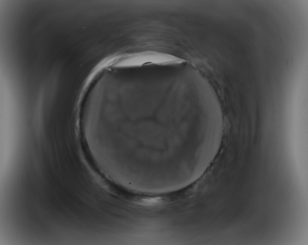 X0000083020054200703022013