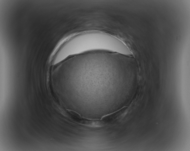 X0000083020056200703022013