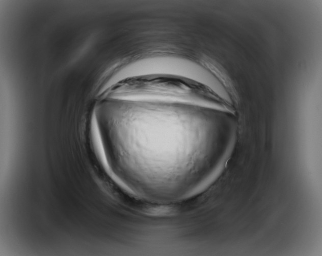 X0000083020058200703022013