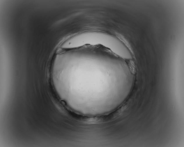 X0000083020059200703022013