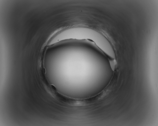 X0000083020060200703022013