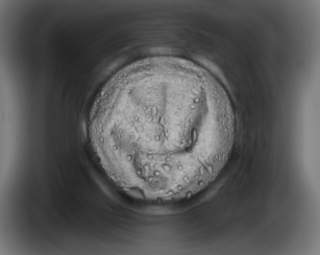 X0000083020061200703022013