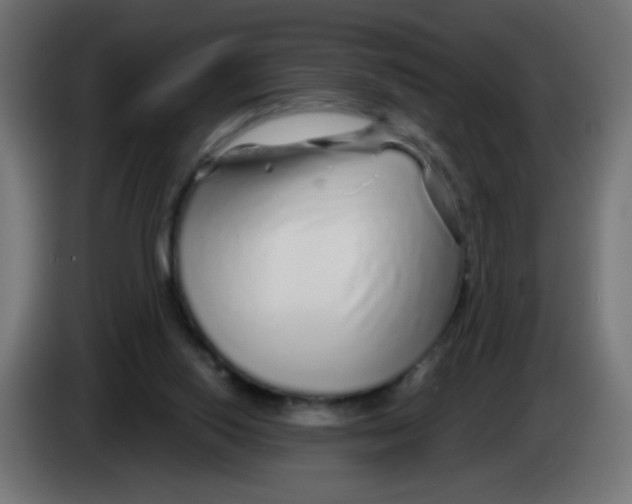 X0000083020062200703022013