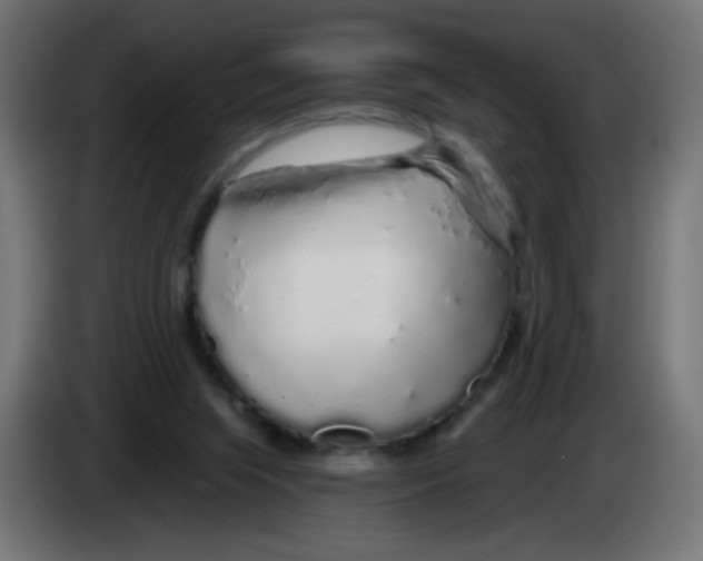 X0000083020063200703022013