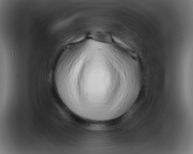 X0000083020066200703022013