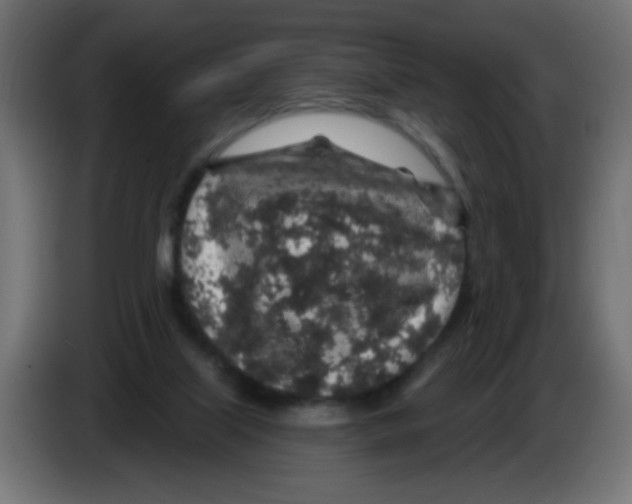 X0000083020067200703022013