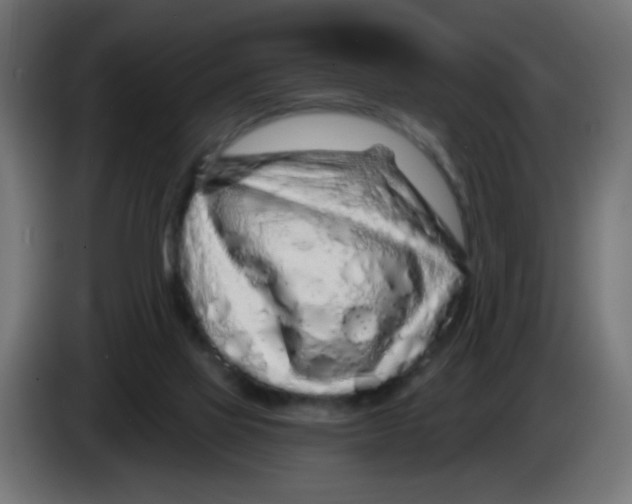 X0000083020069200703022013