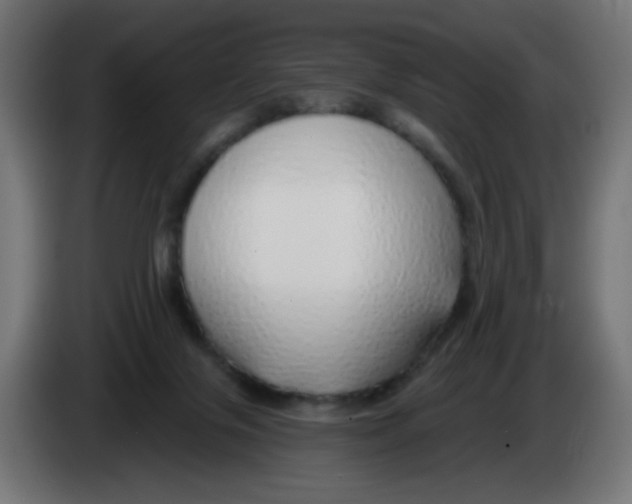 X0000083020071200703022013