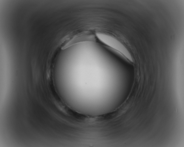 X0000083020072200703022013