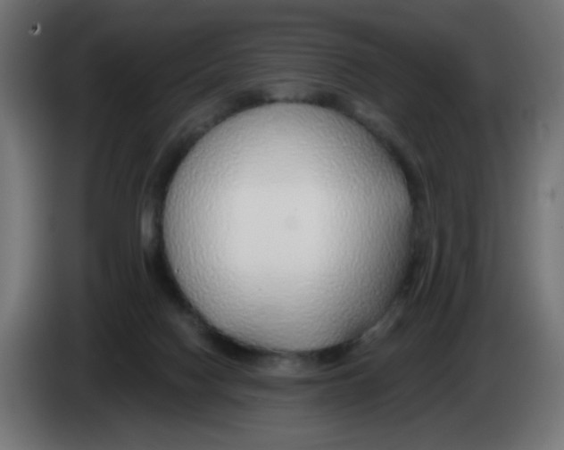 X0000083020074200703022013