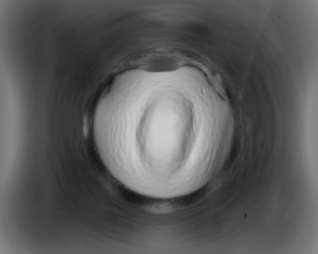 X0000083020075200703022013