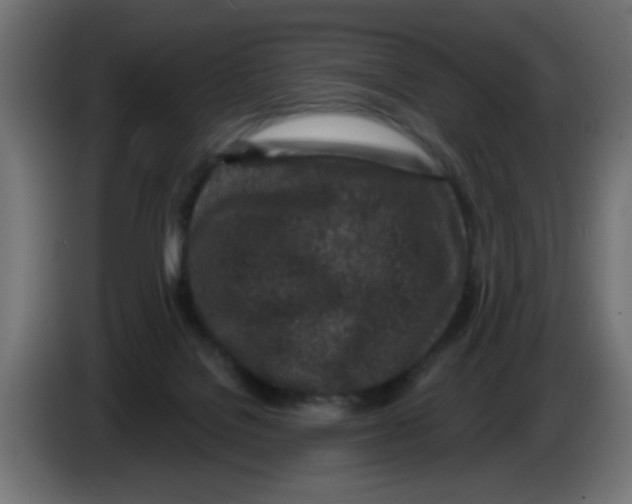 X0000083020076200703022013