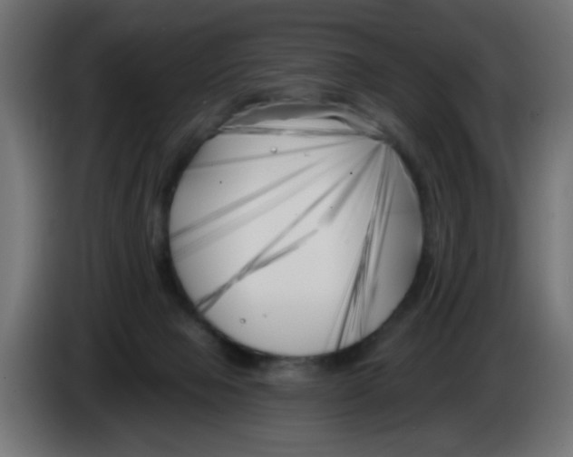 X0000083020077200703022013