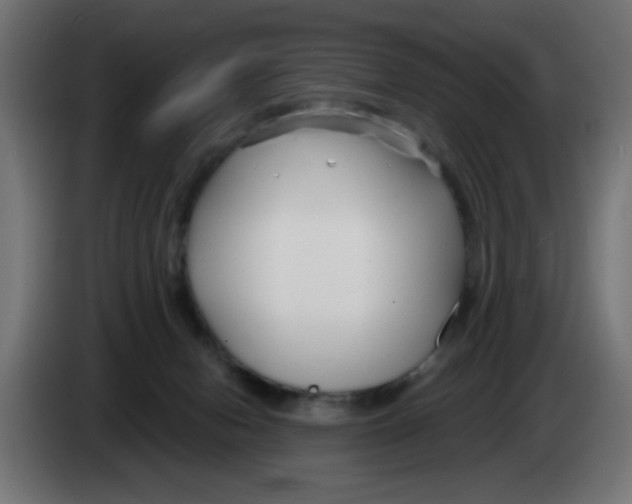 X0000083020078200703022013